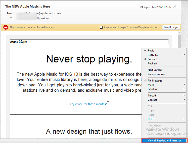 View Opera Message Header